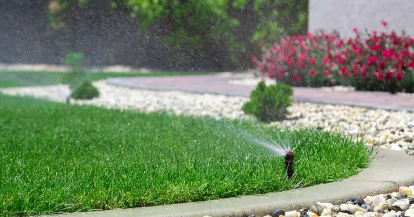 Discover The Best Sprinkler Heads, Its Importance, And Sprinkler Head Types