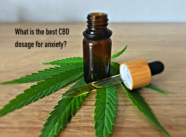 What Is The Best Cbd Dosage For Anxiety?