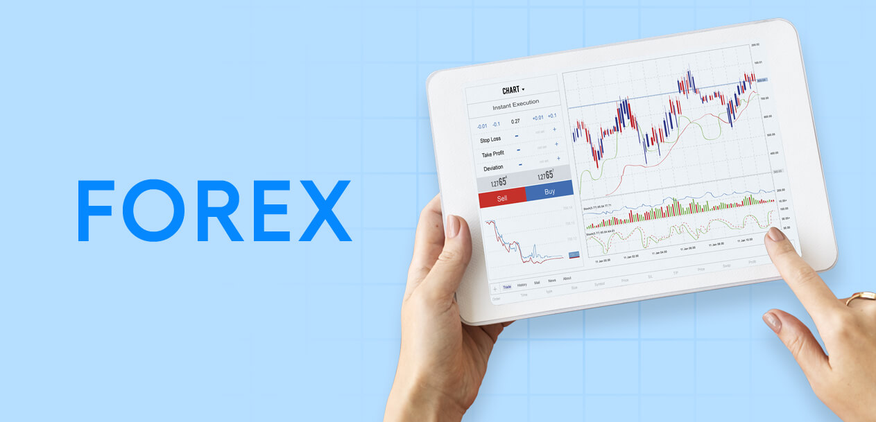 Transparent Brokers with the Best Forex Spreads Revealed