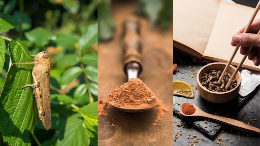 Are Cricket Powders and Mealworm Snacks the Next Big Food Trend?