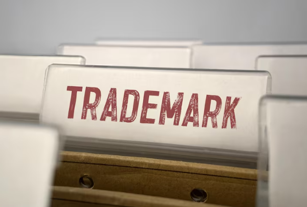 What Is a Trademark API and Why Are Developers Building With It