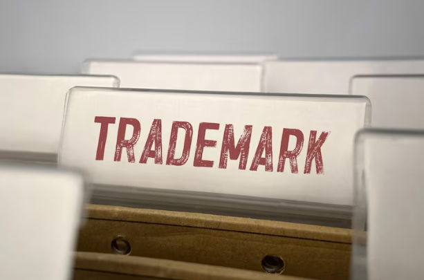 What Is a Trademark API and Why Are Developers Building With It